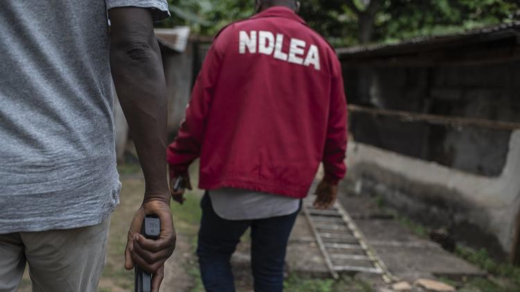 NDLEA operatives arrest 25 drug suspects in Abuja