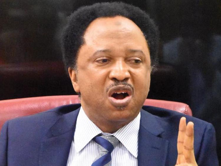 Political leaders in Rivers, Ebonyi have bad attitudes - Shehu Sani