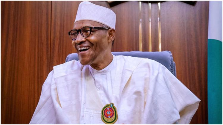 Buhari right to borrow $800m - Ex-finance commissioner, Harrison