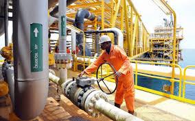 FG Inaugurates Cttee on Naira-based Crude Sale to Local Refineries  - Economic Confidential